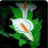 GK Celt's profile picture