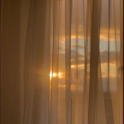 9alb_majrouh's profile picture