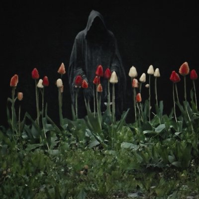 Cayanozo's profile picture