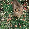 TontarnB profil fotoğrafı