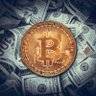 ViennaCrypto's profile picture