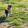 YUKA 的头像