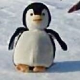 tm_knows's profile picture