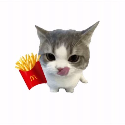 ytu1143793's profile picture
