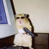 Profilbild von YoungSweng