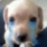 Profilbild von oilspill