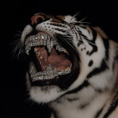 S6BER's profile picture