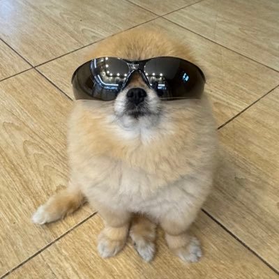 kori's profile picture