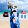 Left Shark 🥇🥇🥇🥇🥉(Sam) SAW TWICE's profile picture