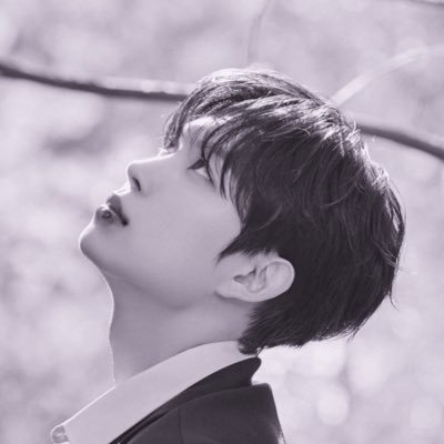 fiora0411's profile picture