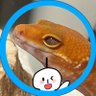 Profilbild von てるちゃ🎈
