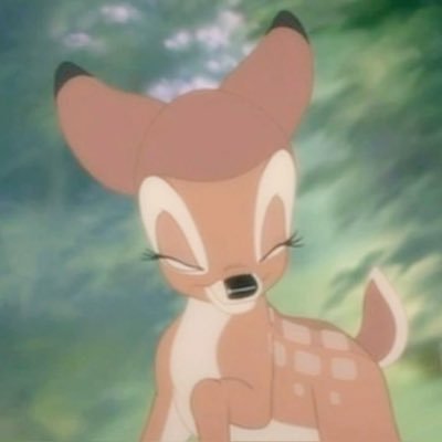 ‧₊˚(๑﹏๑) ‧₊˚'s profile picture