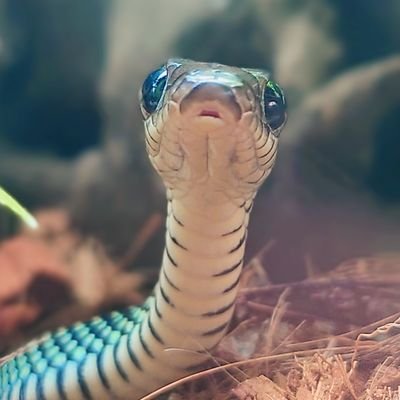 postonpos0119's profile picture