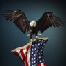 Фото профиля New England MAGA