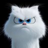 白雲觀雲白不白（不私信、不看、不回）'s profile picture