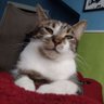 Profilbild von BB990 (Comms Open)