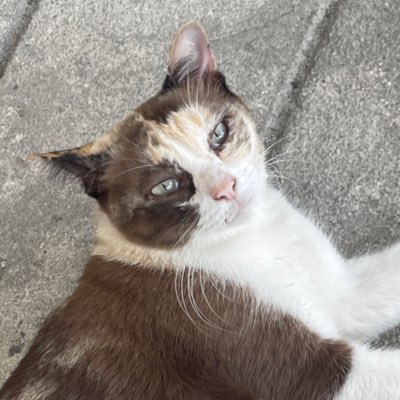 PS87004171's profile picture