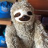 Slothy65 的头像