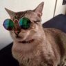 edurf's profile picture