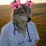 Profilbild von atasagun the MD