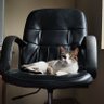 K-jita's profile picture