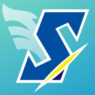 Sky Fangames's profile picture