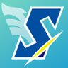 Sky Fangames's profile picture