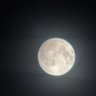Moon's profile picture