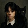 Фото профиля 🇦🇷👑Merlina Addams🇻🇪🐱🇺🇦