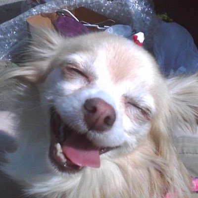 두지's profile picture