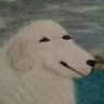 alex's profile picture