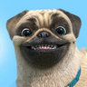 MooseOg94's profile picture