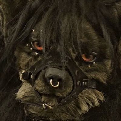 FourthHikaru's profile picture