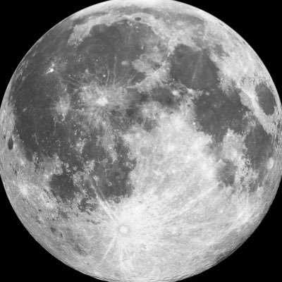 MOONLIGHT's profile picture