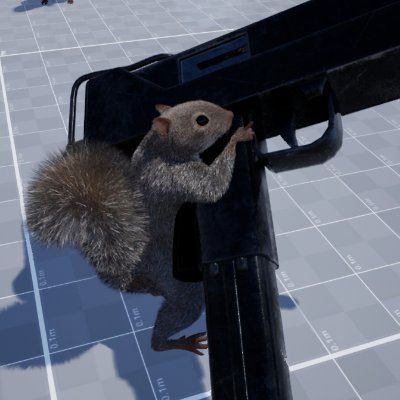 Squirrel with a Gun🔫🐿️🏳️‍⚧️Switch2/PC/PS5/XBX!'s profile picture