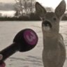 jiggabo's profile picture