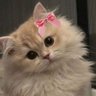 ±ماري..٦٦.'s profile picture