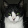 Profilbild von A