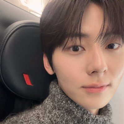 운명's profile picture