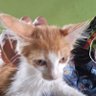 andiçu profil fotoğrafı