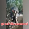 Фото профиля HomeLess