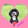 Jasmine OTRB🌈's profile picture