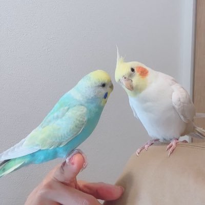N.'s profile picture