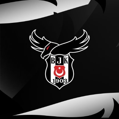 Beşiktaş Esports's profile picture