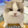 Profilbild von Lancelott