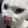 ぴょぴょ吉🐨@smile&love&peace's profile picture
