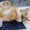 清醒是一种病 profil fotoğrafı