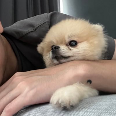 kevinchoc's profile picture