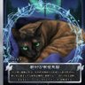 ともえ's profile picture