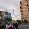 ぱるとし 的头像